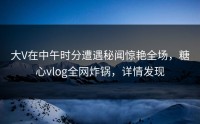 大V在中午时分遭遇秘闻惊艳全场，糖心vlog全网炸锅，详情发现