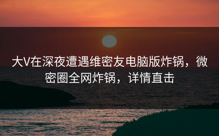 大V在深夜遭遇维密友电脑版炸锅，微密圈全网炸锅，详情直击